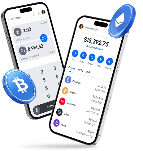 Mobile app showing dollar wallet